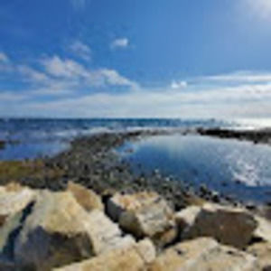 Meet your Posher, Ethan